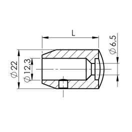 Raccord d'extrémité non articulé pour lisse pour tube 42.4x2 mm inox 304